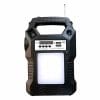 پکیج خورشیدی جی دی پلاس GD-8060