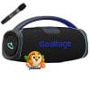 اسپیکر پرقدرت و حرفه ای 300 وات Goaltage SP14