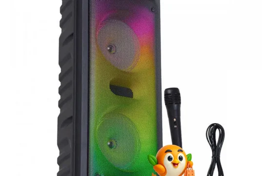 اسپیکر بلوتوثی قابل حمل ایستاده GTS-1703